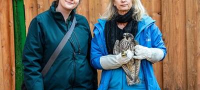 Die Gute Nachricht des Tages - Rückblick April