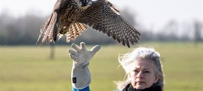 Die Gute Nachricht des Tages - Rückblick April