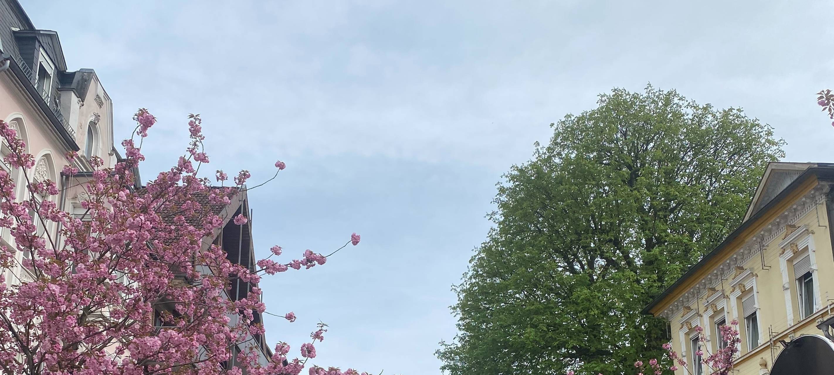 Bilder vom Mendener Frühling 2024