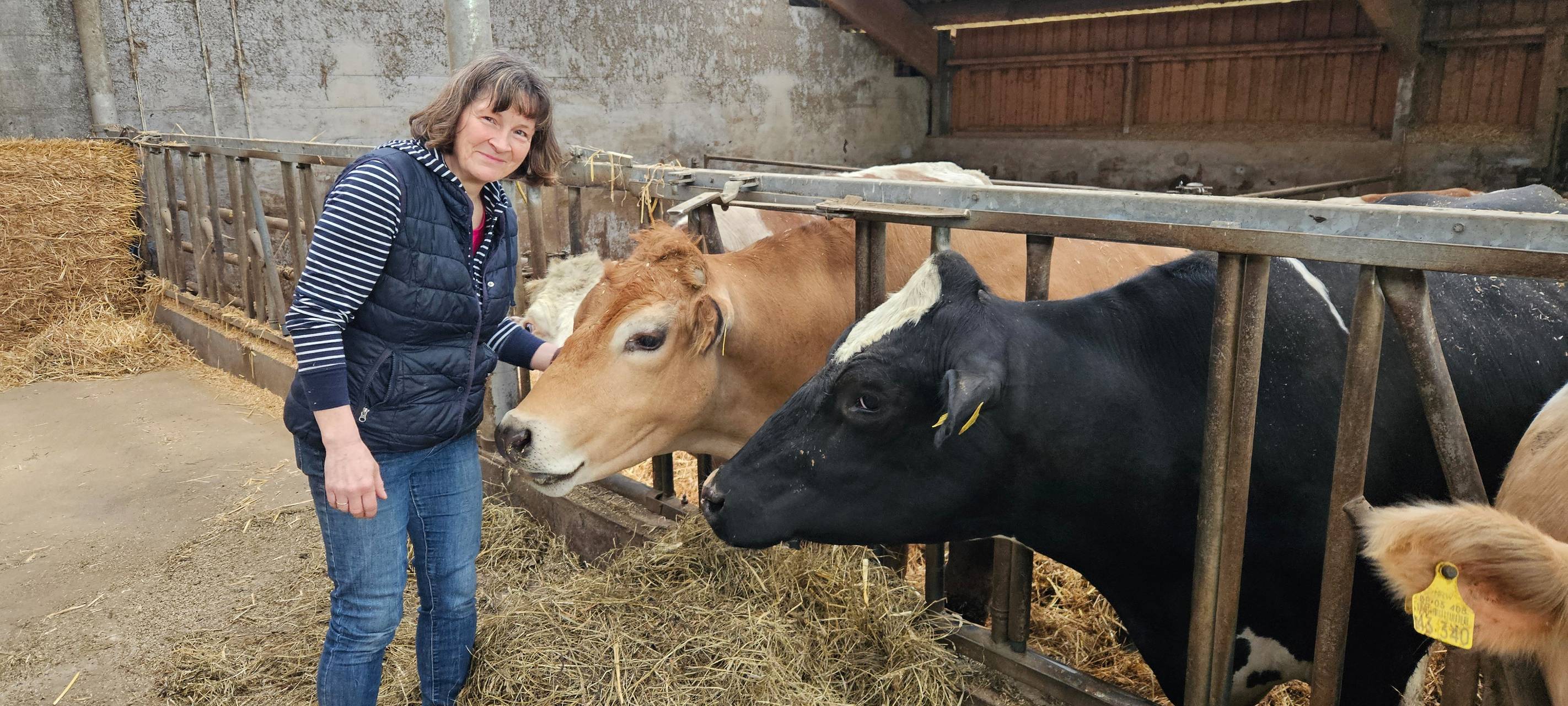 Ein Leben für Kühe in Meinerzhagener Pension