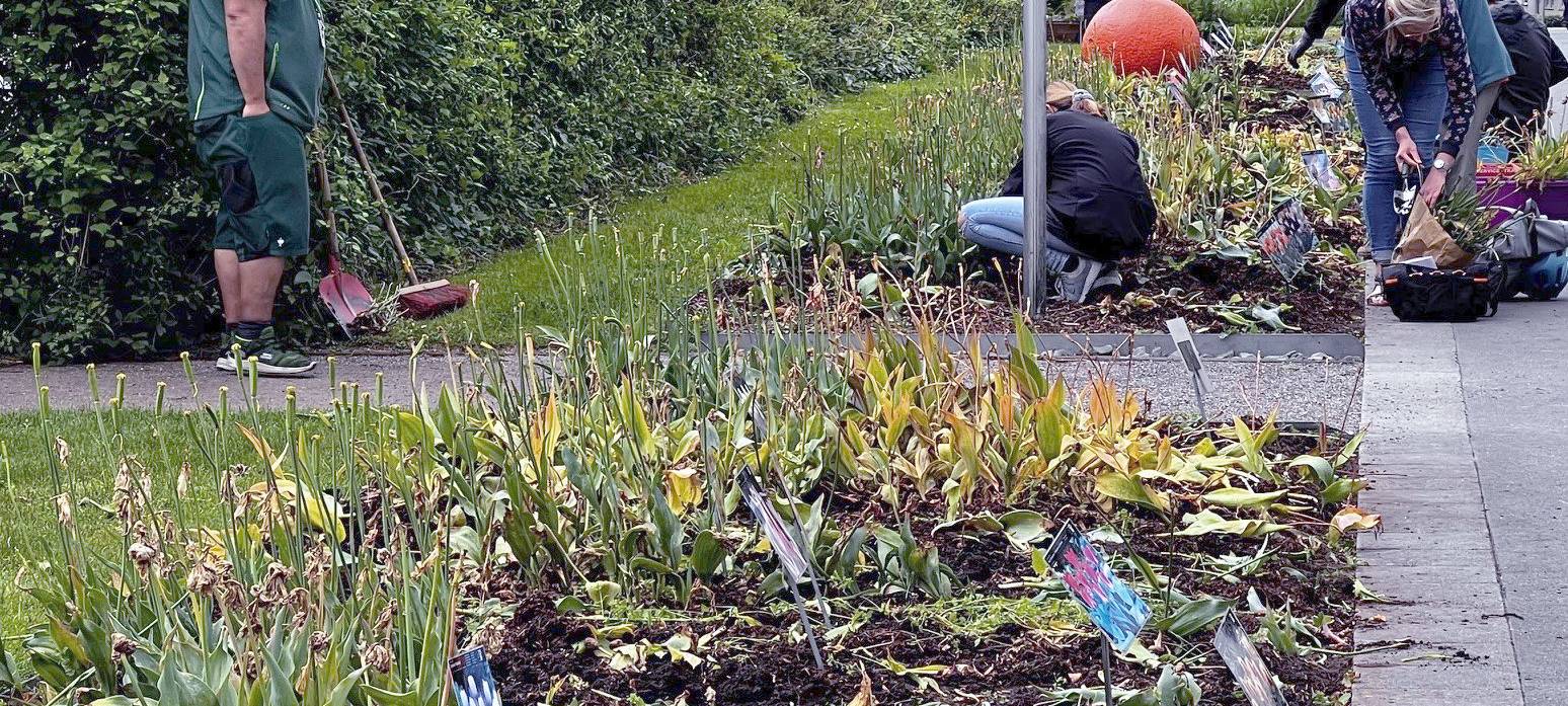 Blumen suchen neues Zuhause