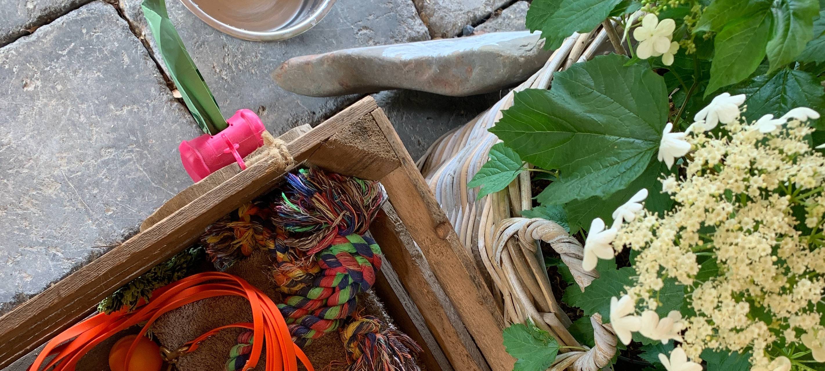 "5 Pfoten"-Auszeichnung für Ferienhaus in Schalksmühle