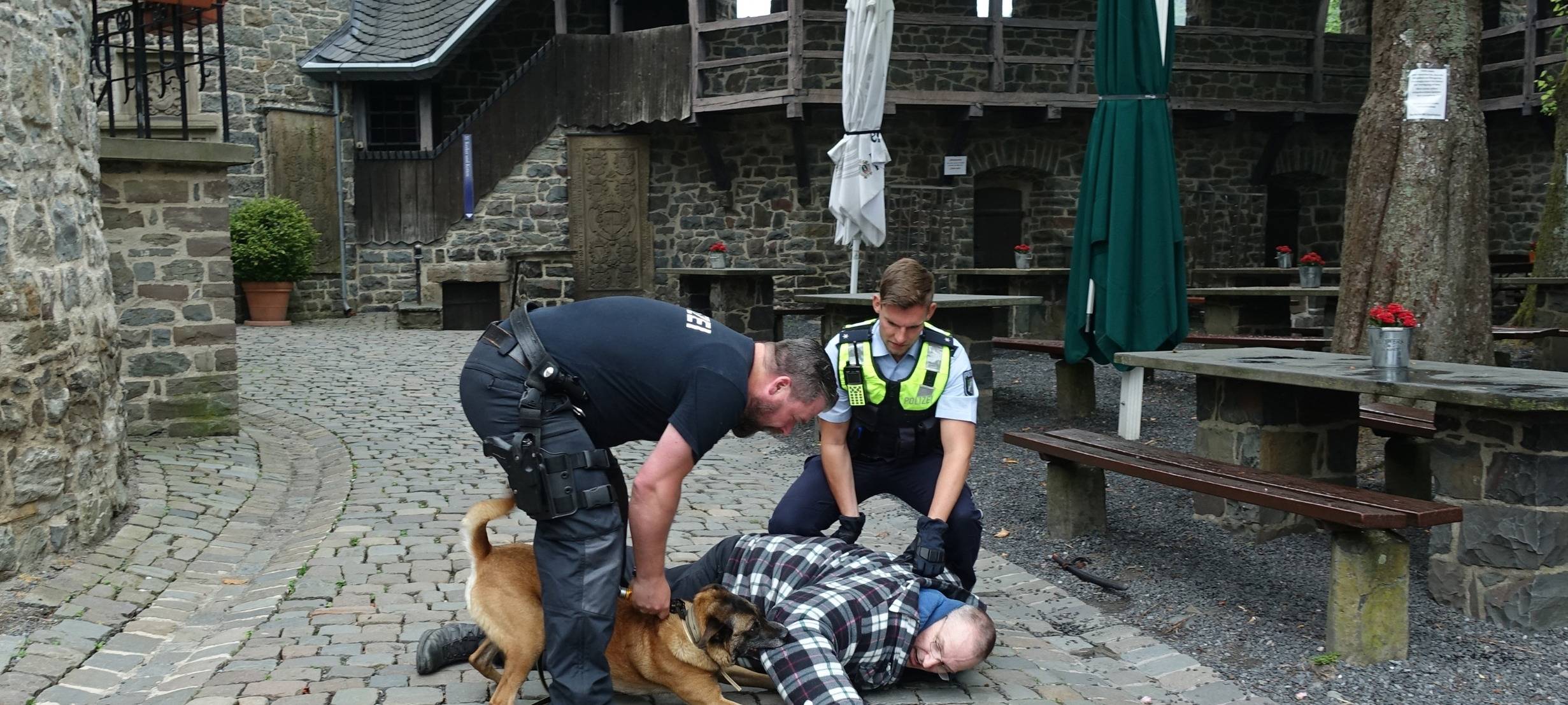 Dogs in Jobs: Die Kreispolizeibehörde Märkischer Kreis gibt Einblicke in die Arbeit der Diensthunde