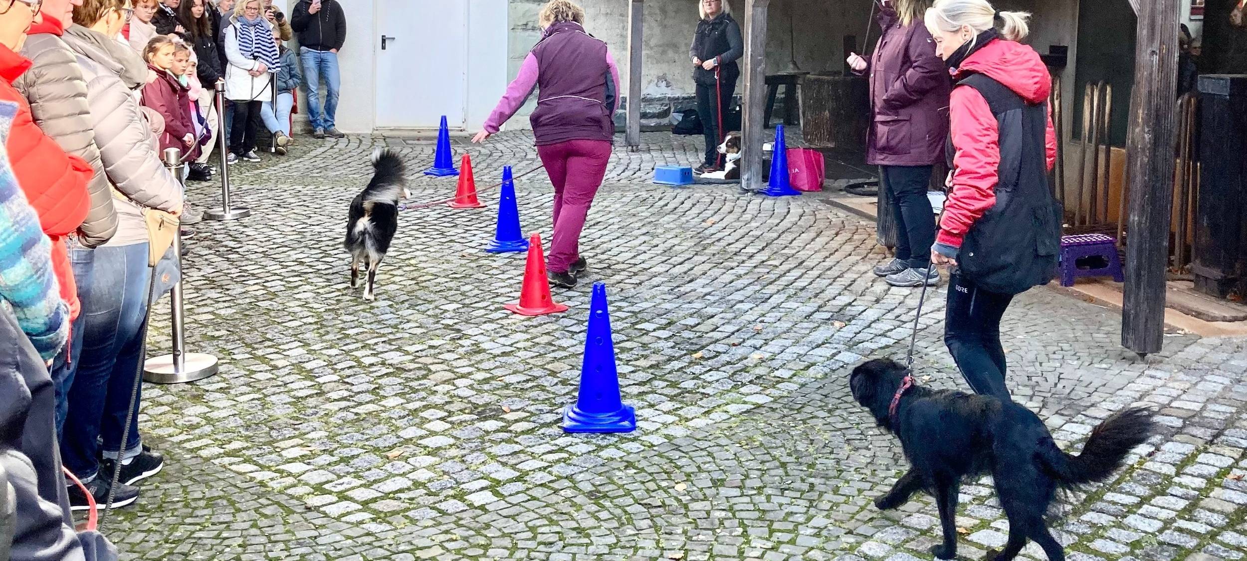 Um Geschicklichkeit und feine Sinne der Vierbeiner geht es bei der Vorführung der Hundeschule A-Ha! aus Halver.