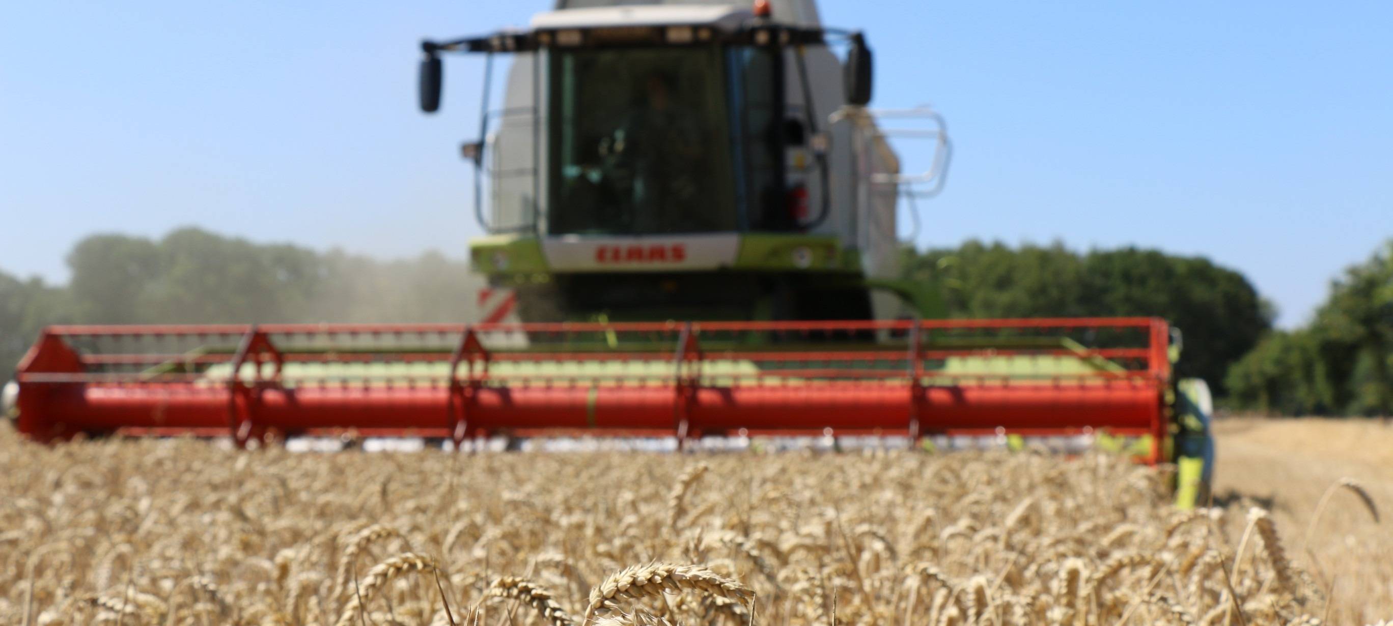 Hitze-Sommer setzt Bauern im Märkischen Kreis stark zu