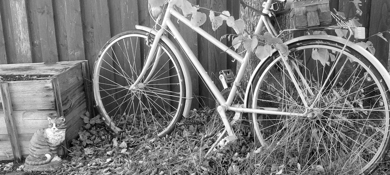 Mit dem Rad zur Arbeit im Märkischen Kreis