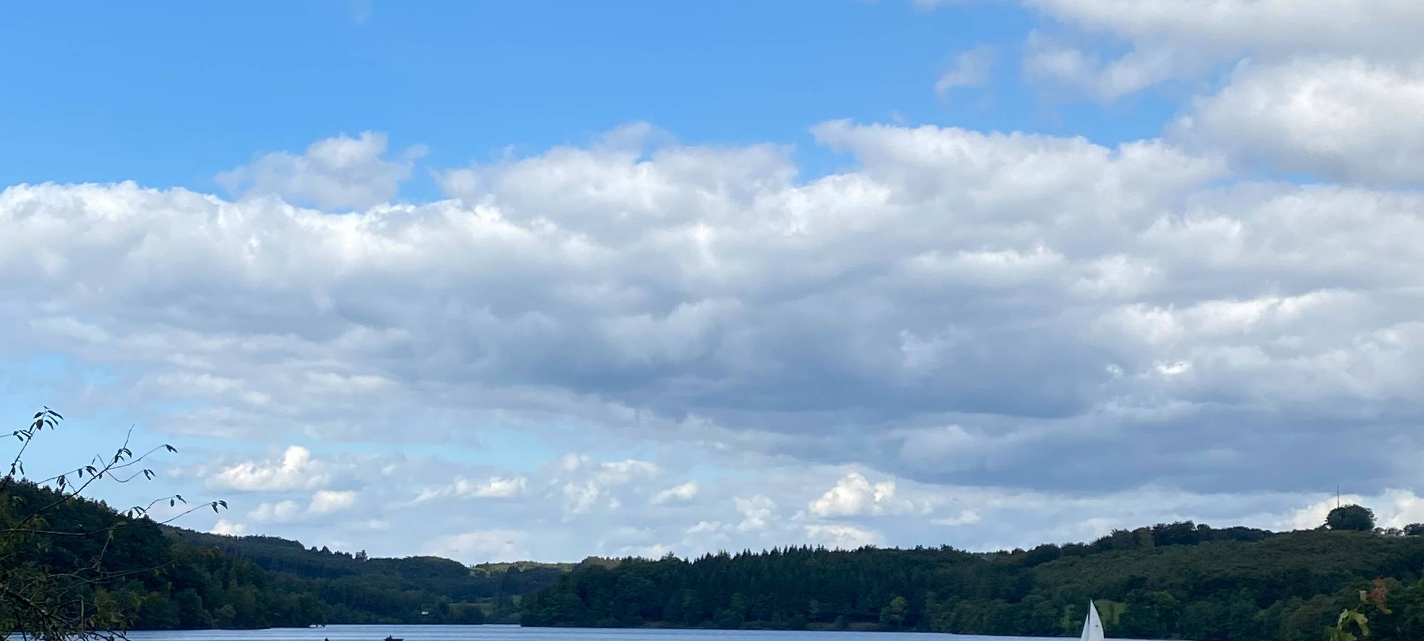 Die gute Nachricht des Tages - Rückblick Mai