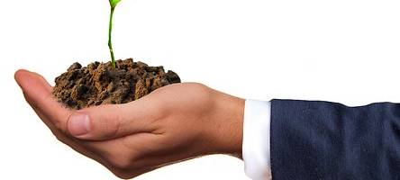 Rupenteich braucht Pflege