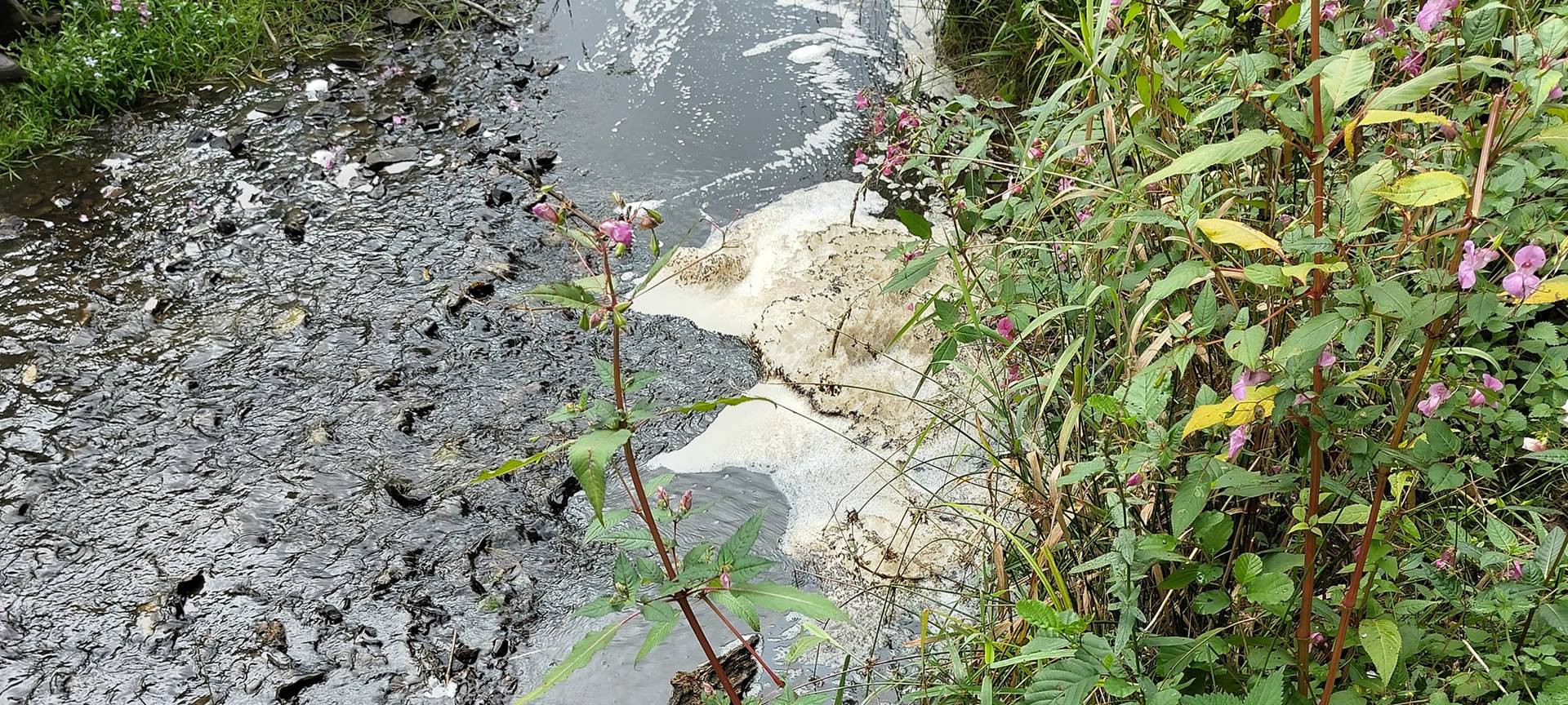 Umweltskandal in Halver hat enorme Auswirkungen