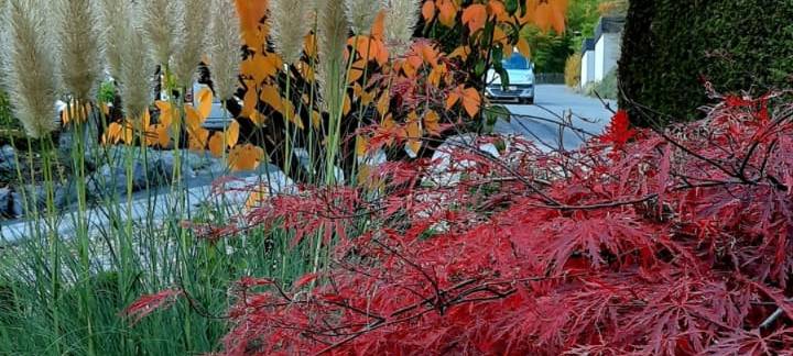 Herbstfoto von Erika Stievermann aus Altena-Dahle