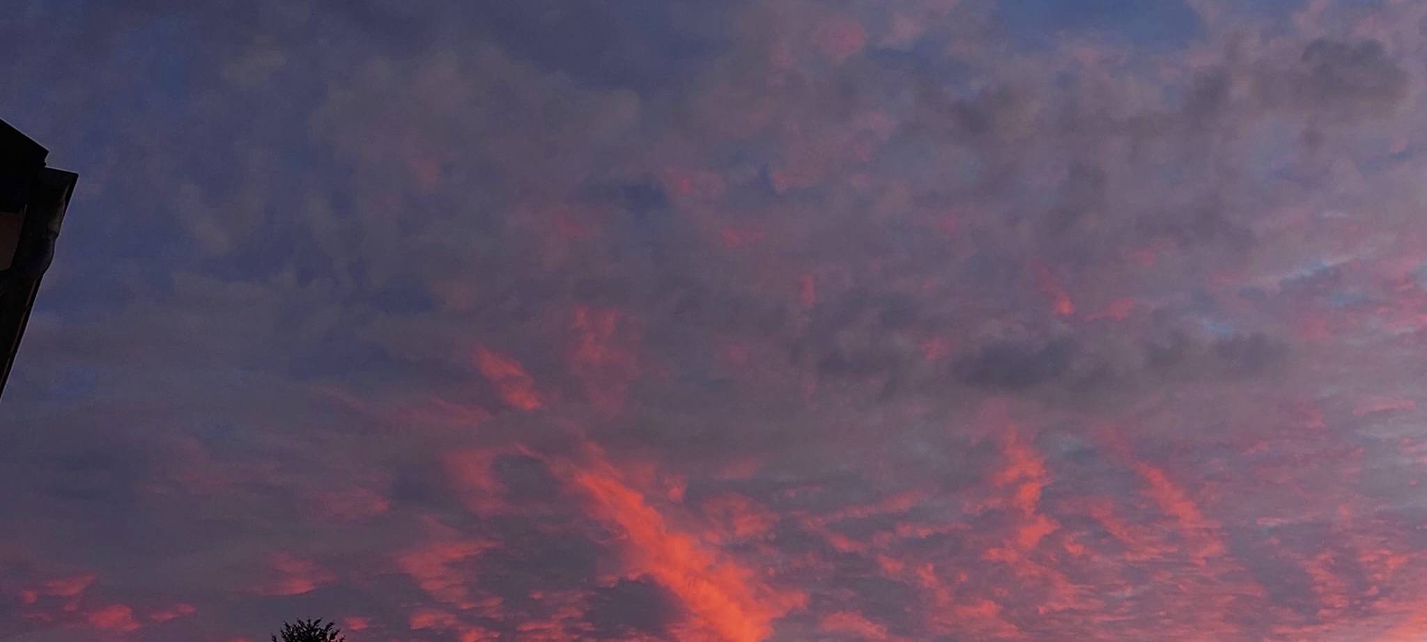 Herbstfoto Lia Staniewski