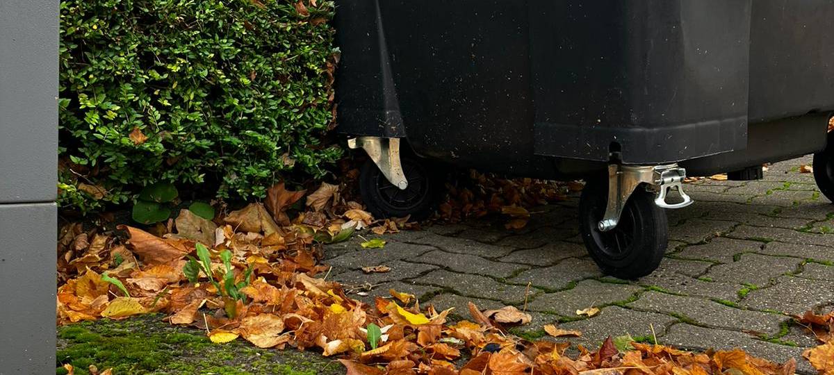 Herbstlaub: Tipps zur Entsorgung und Versicherung