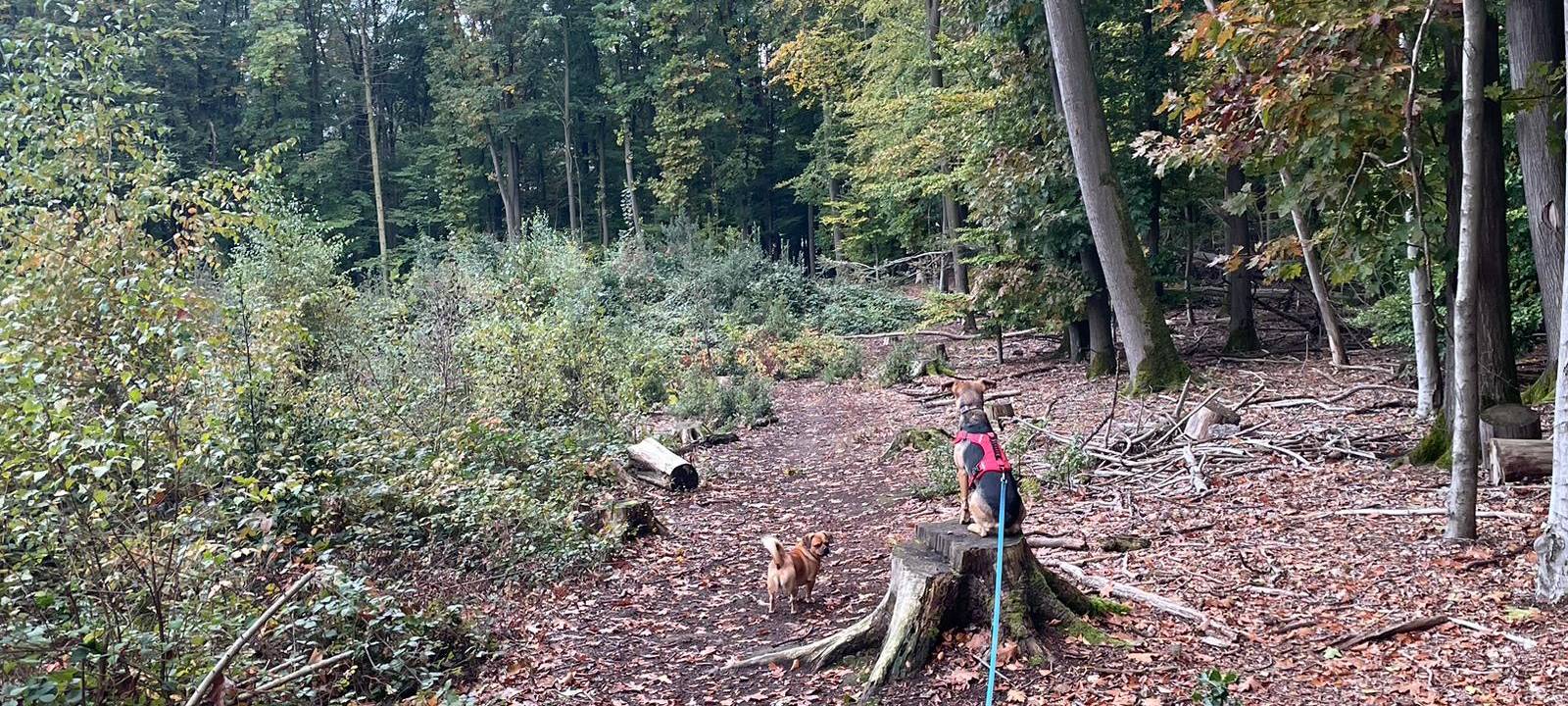 Herbstfotos aus dem Märkischen Kreis