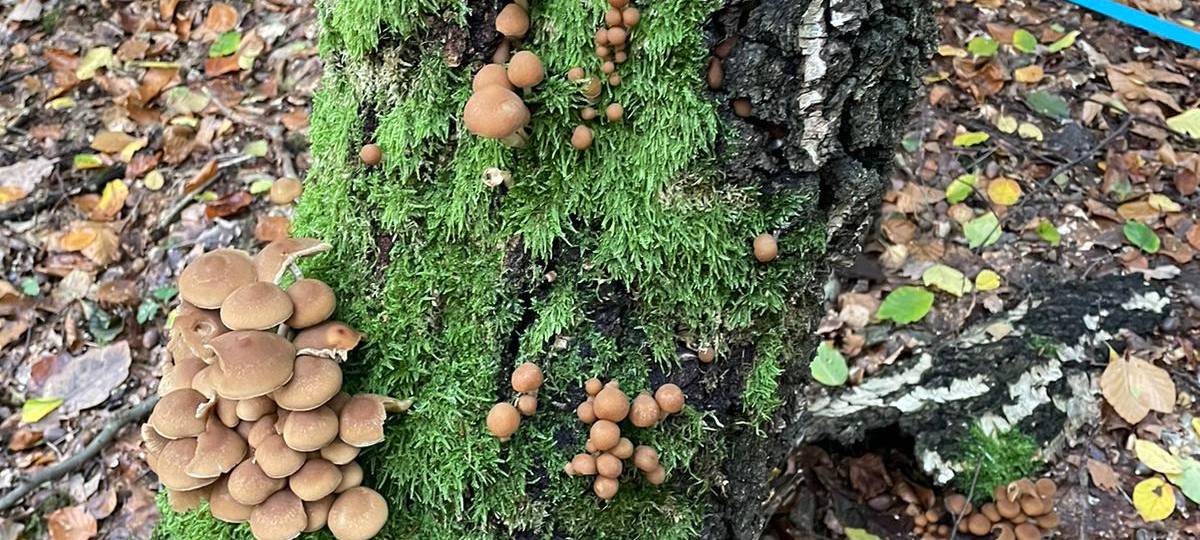 Herbstfotos aus dem Märkischen Kreis