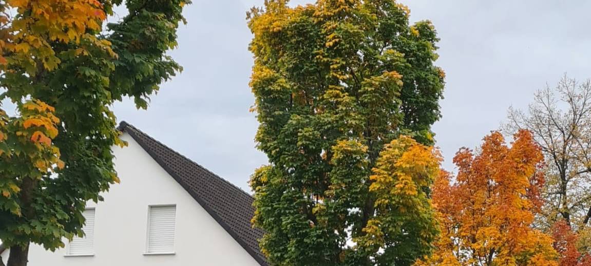 Herbstfotos aus dem Märkischen Kreis