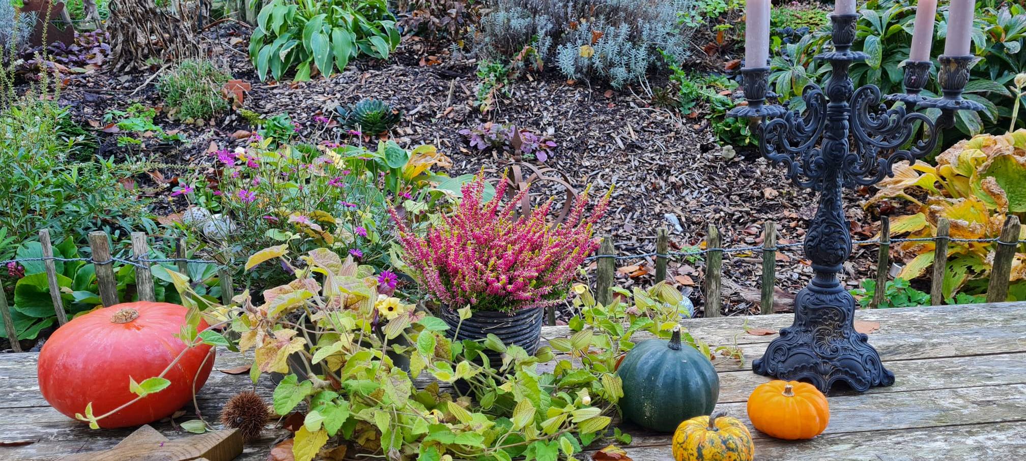 Herbstfotos aus dem Märkischen Kreis