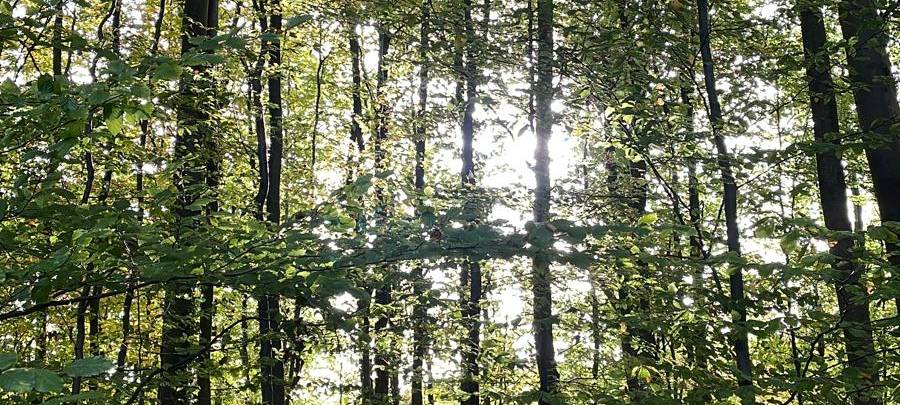 Herbstfotos aus dem Märkischen Kreis