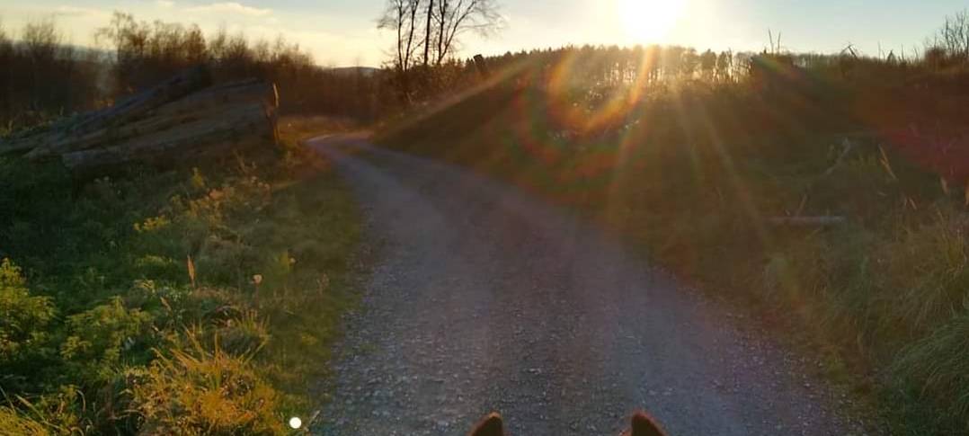 Herbstfotos aus dem Märkischen Kreis