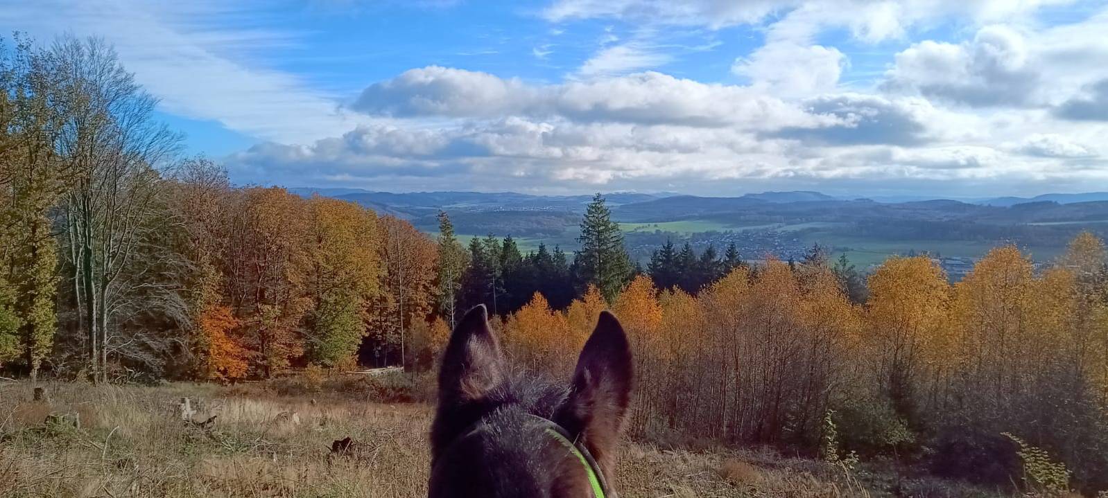 Herbstfotos aus dem Märkischen Kreis