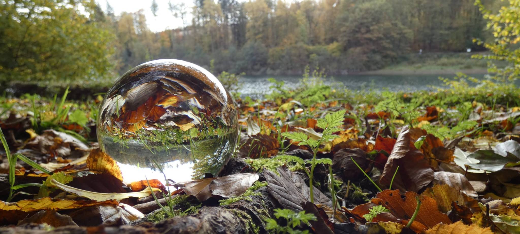 Herbstfoto von Gabi aus Lüdenscheid