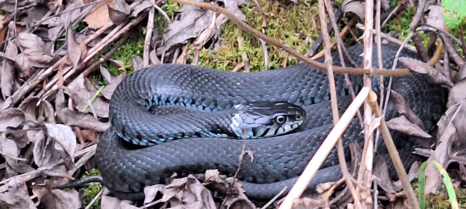 Herbstfoto von Michael aus Neuenrade