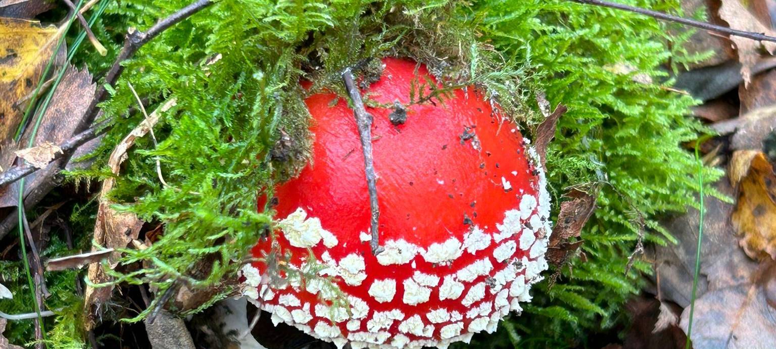 Herbstfoto von Kathi Kayser aus Hemer