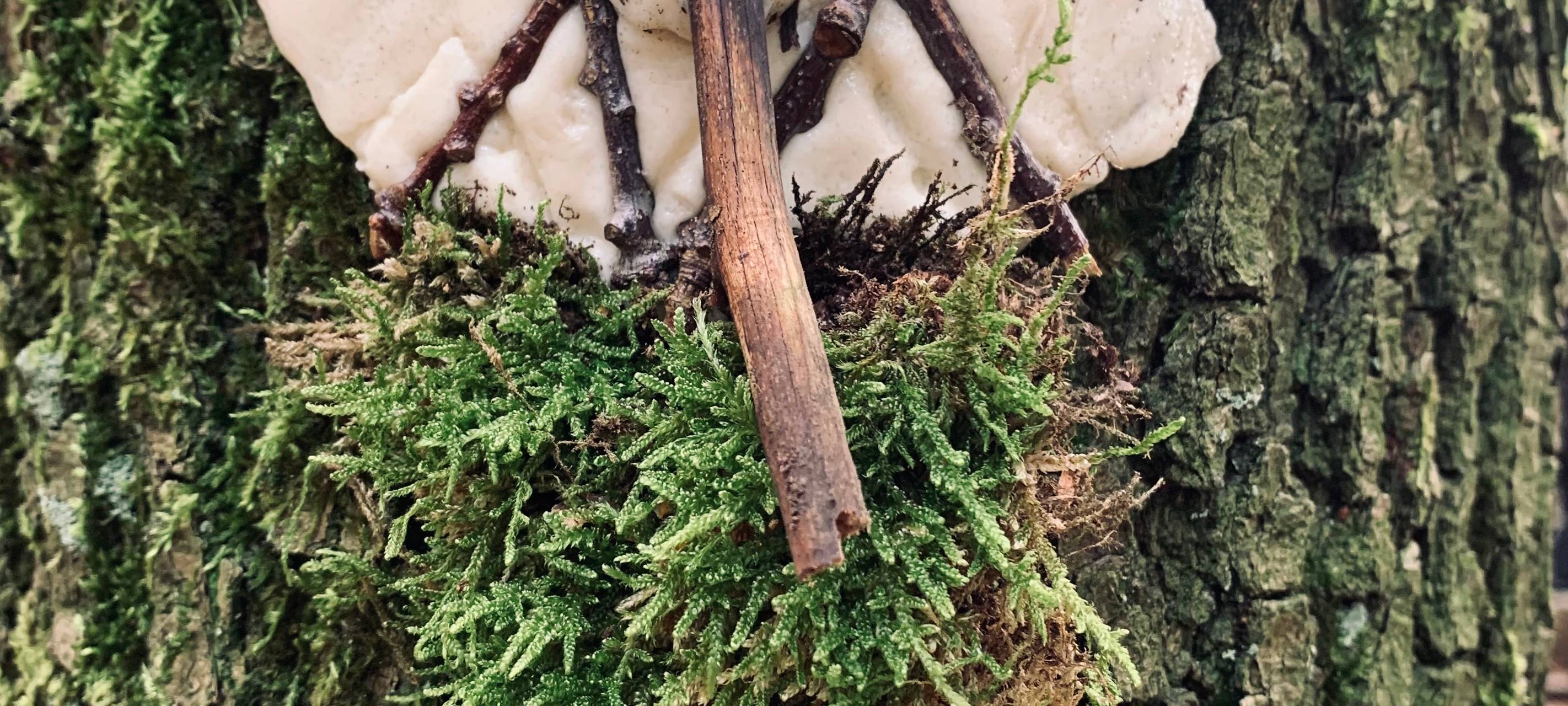 Kinder lernen Deutsch im Letmather Wald
