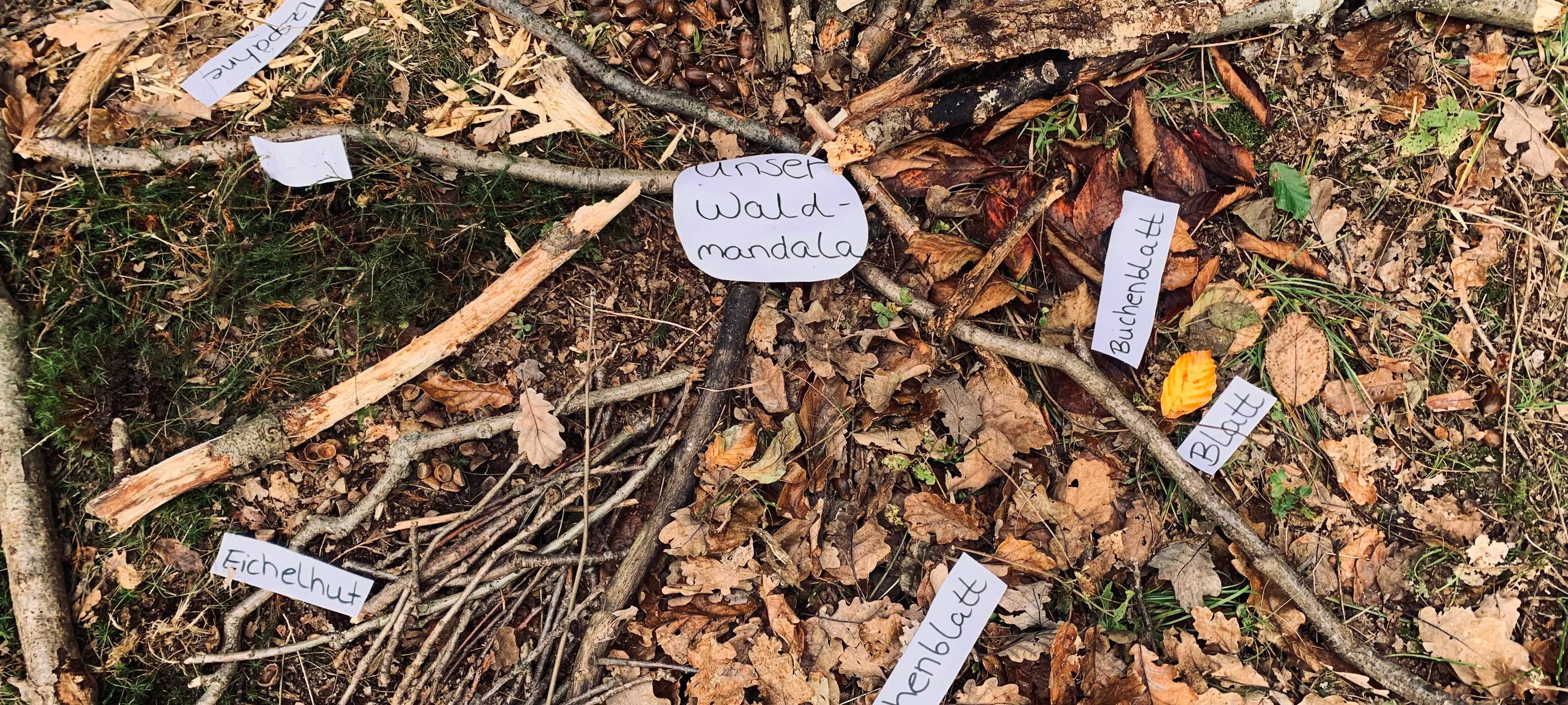 Kinder lernen Deutsch im Letmather Wald