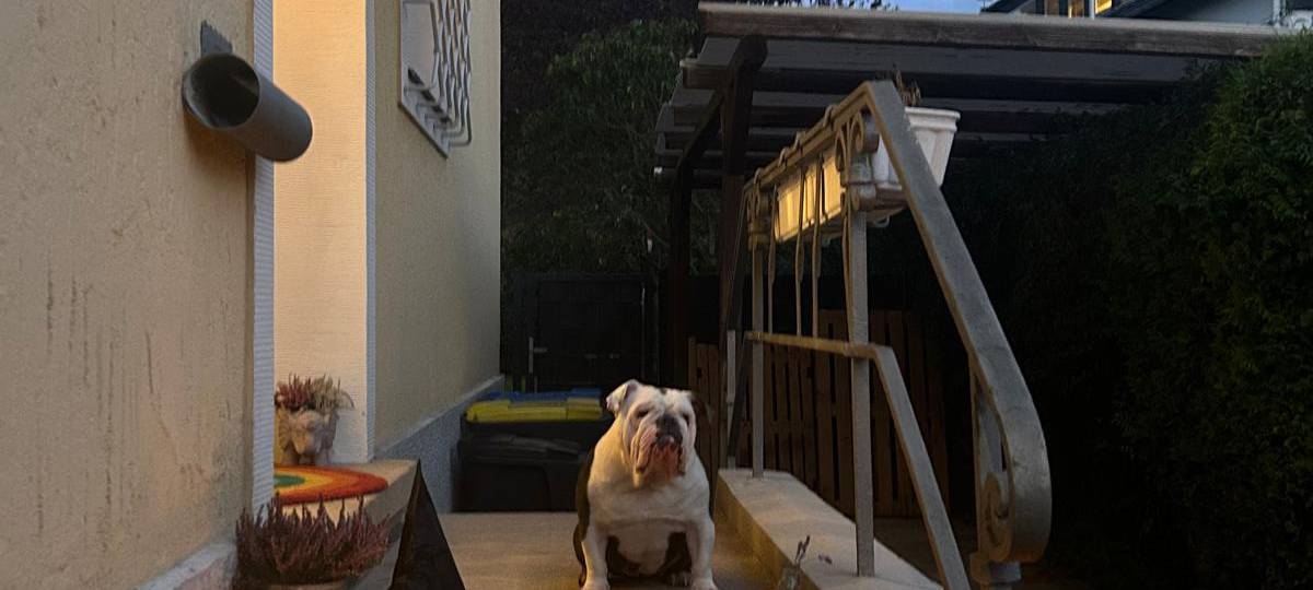 Symbolbild: Halloween