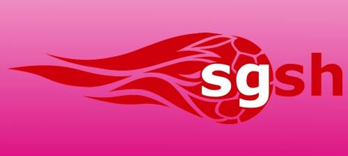 SGSH verpflichtet neuen Spieler