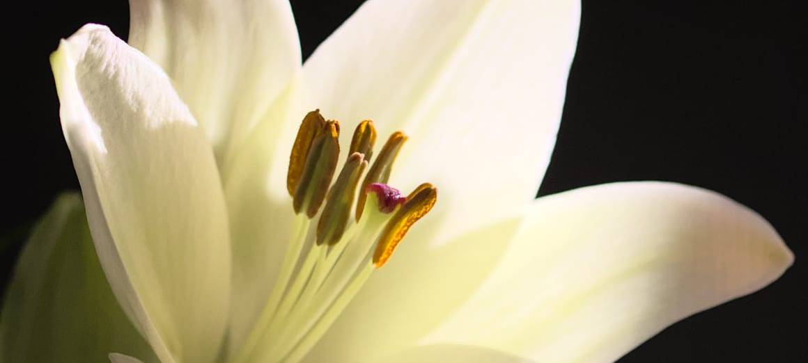 Stolpern zum Andenken