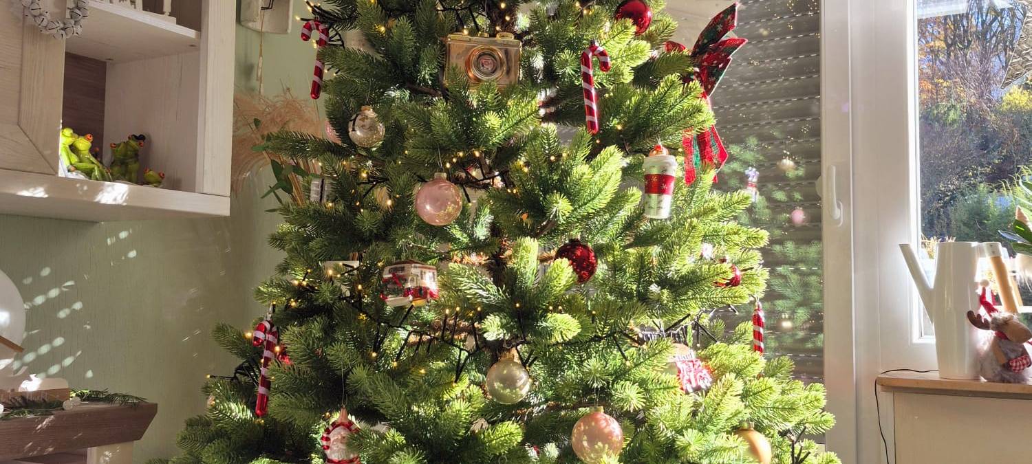 Eure Weihnachtsdeko