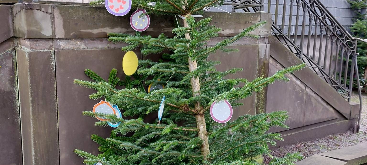 Der schönste Weihnachtsbaum in Balve