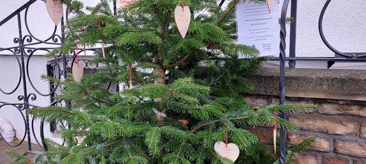 Der schönste Weihnachtsbaum in Balve