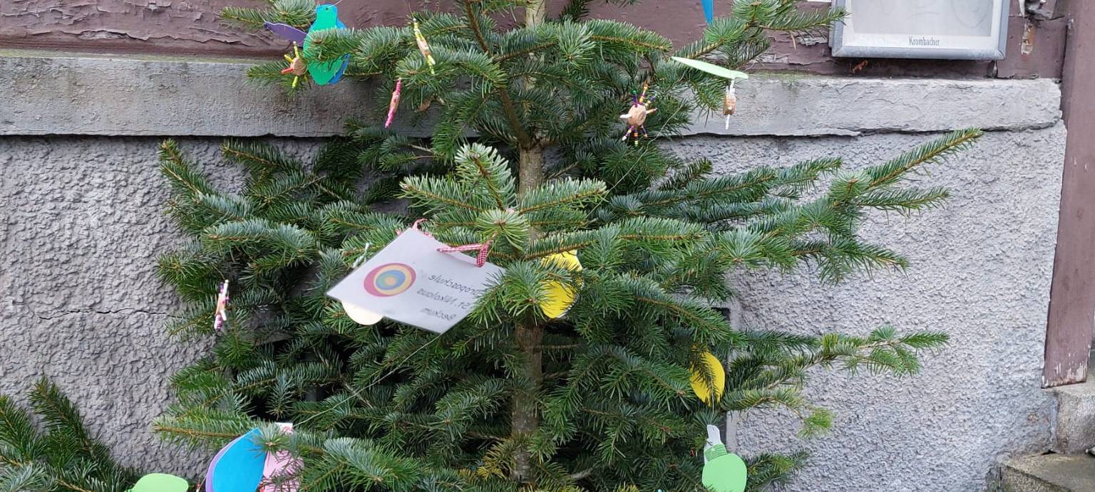 Der schönste Weihnachtsbaum in Balve