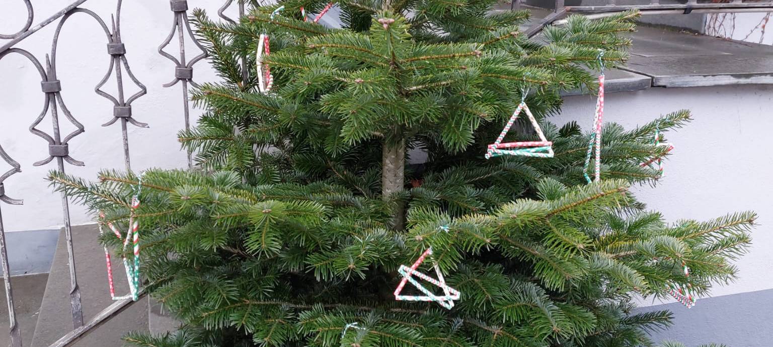 Der schönste Weihnachtsbaum in Balve