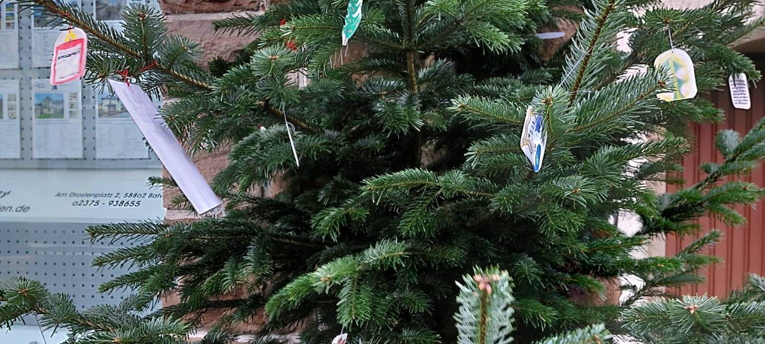 Der schönste Weihnachtsbaum in Balve
