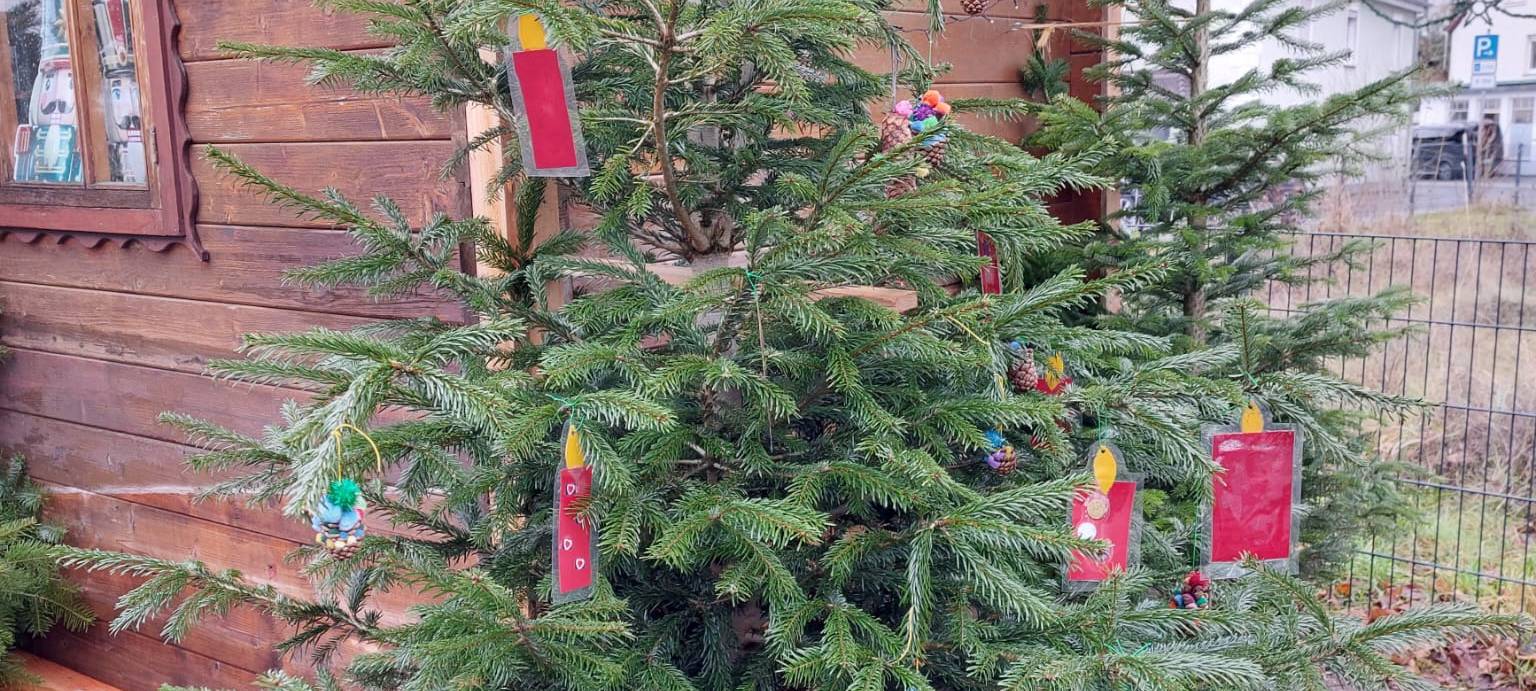 Der schönste Weihnachtsbaum in Balve