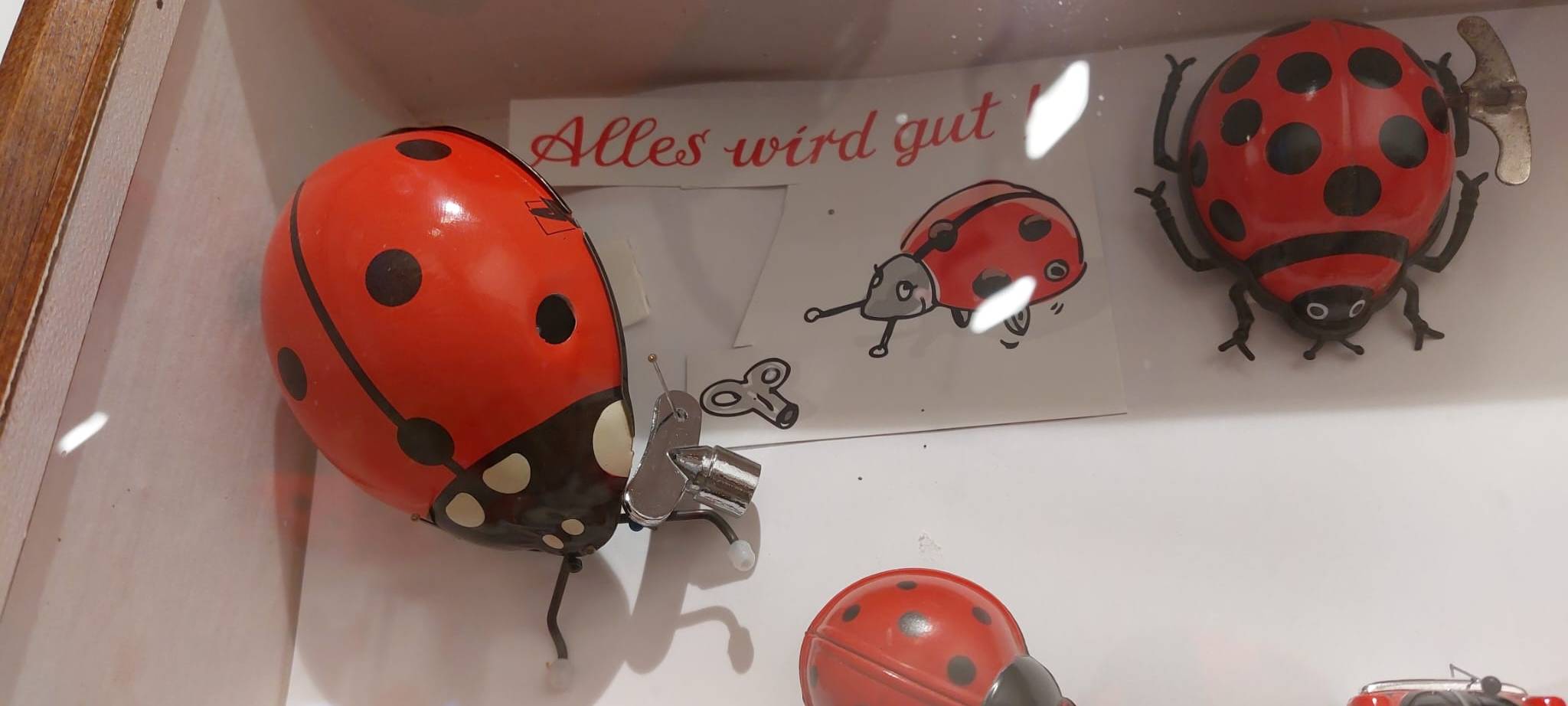 Marienkäferausstellung in Plettenberg