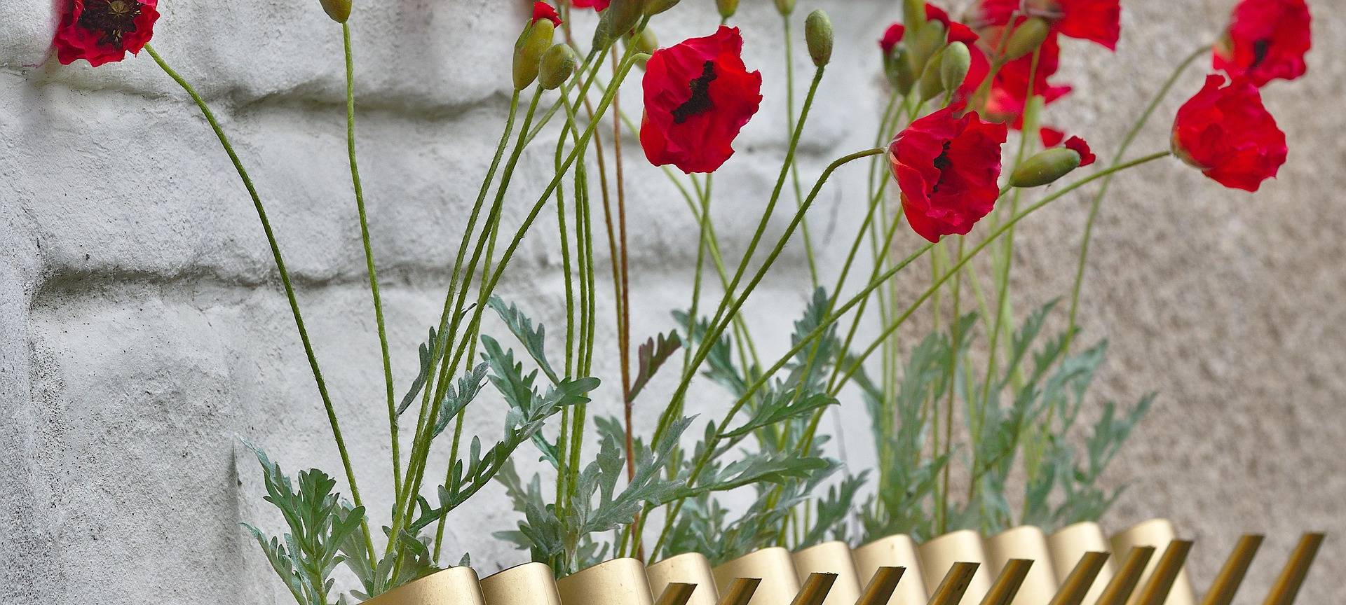 "Die Goldene Gießkanne 2020“ - Bewerbungscountdown