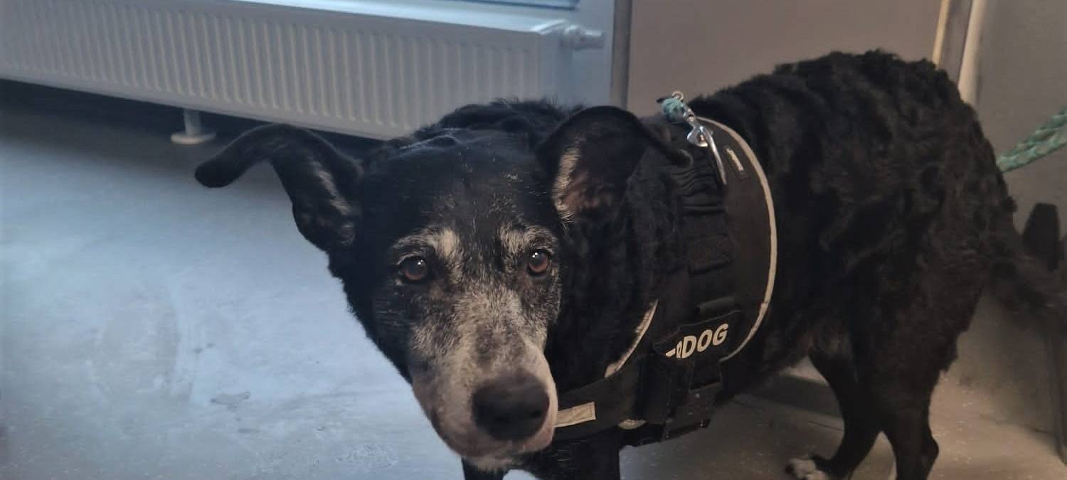 Die gute Nachricht des Tages - Rückblick März