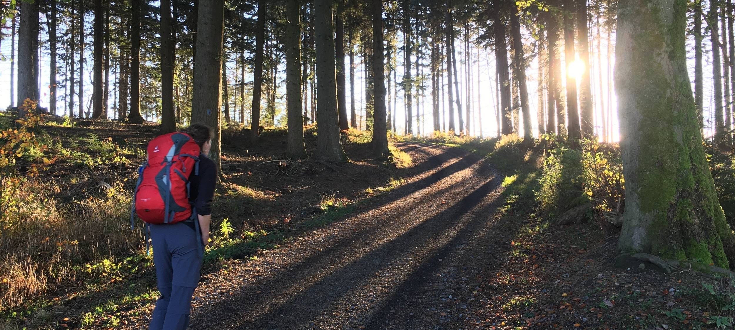 Tourismus im Sauerland boomt