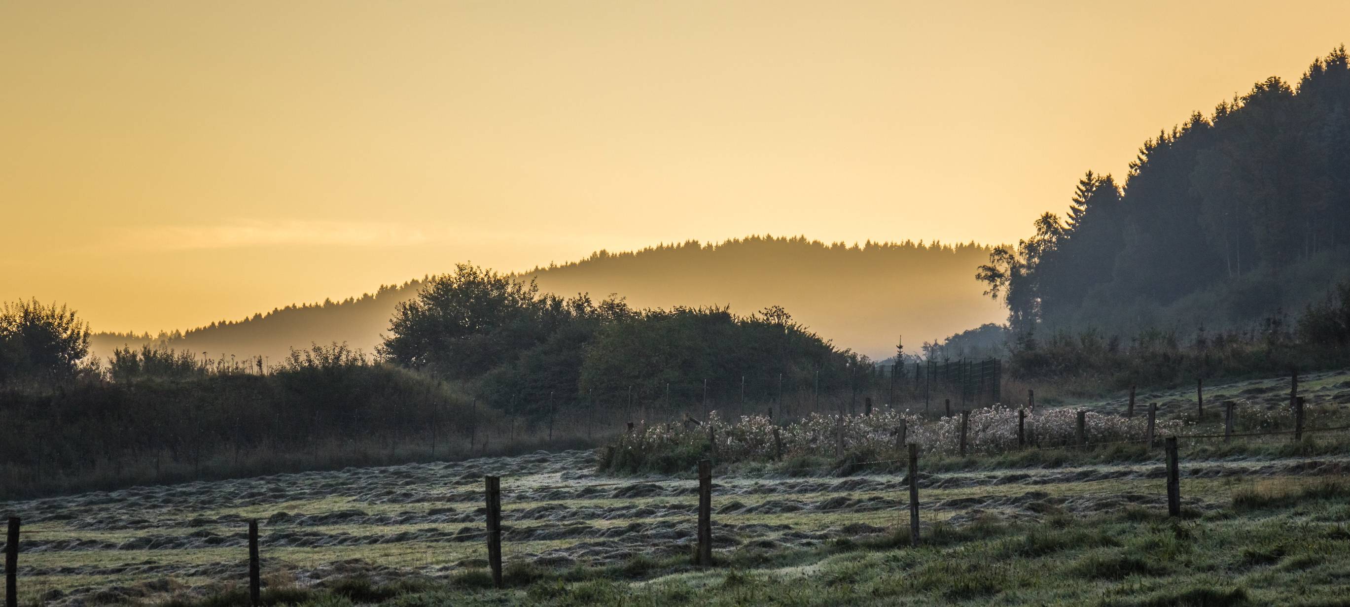 Die gute Nachricht des Tages - Rückblick April