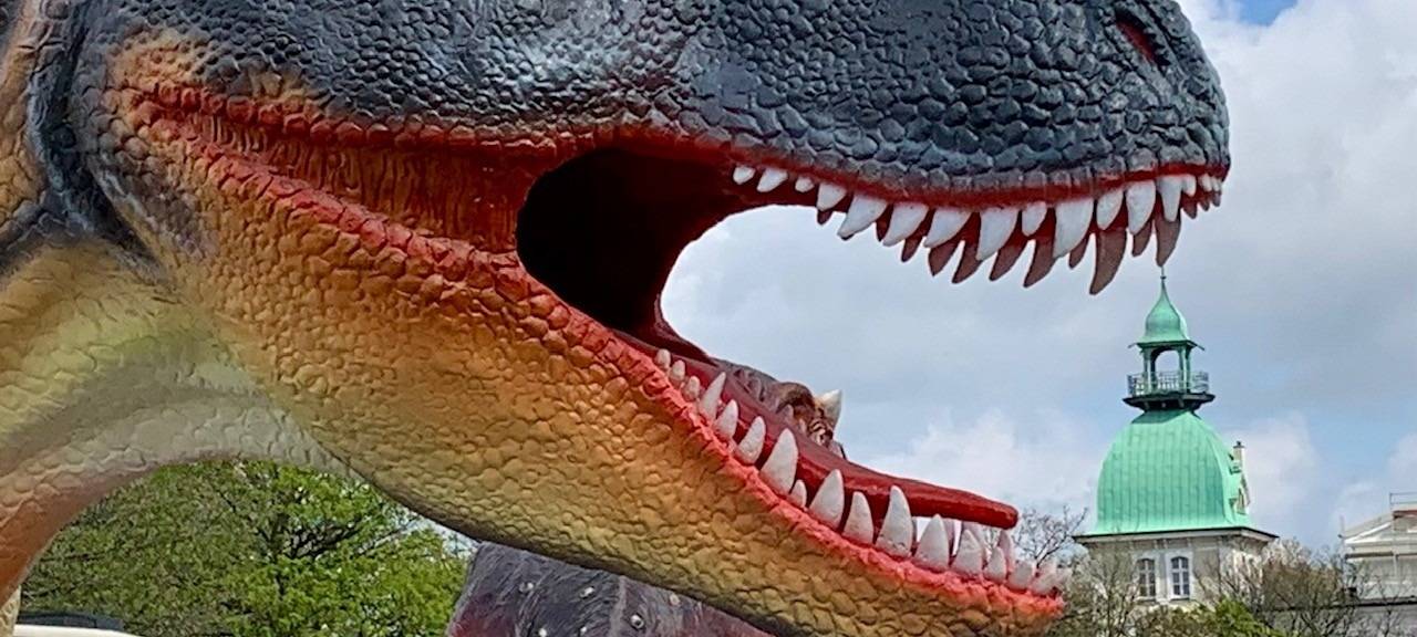 T-Rex zum anfassen