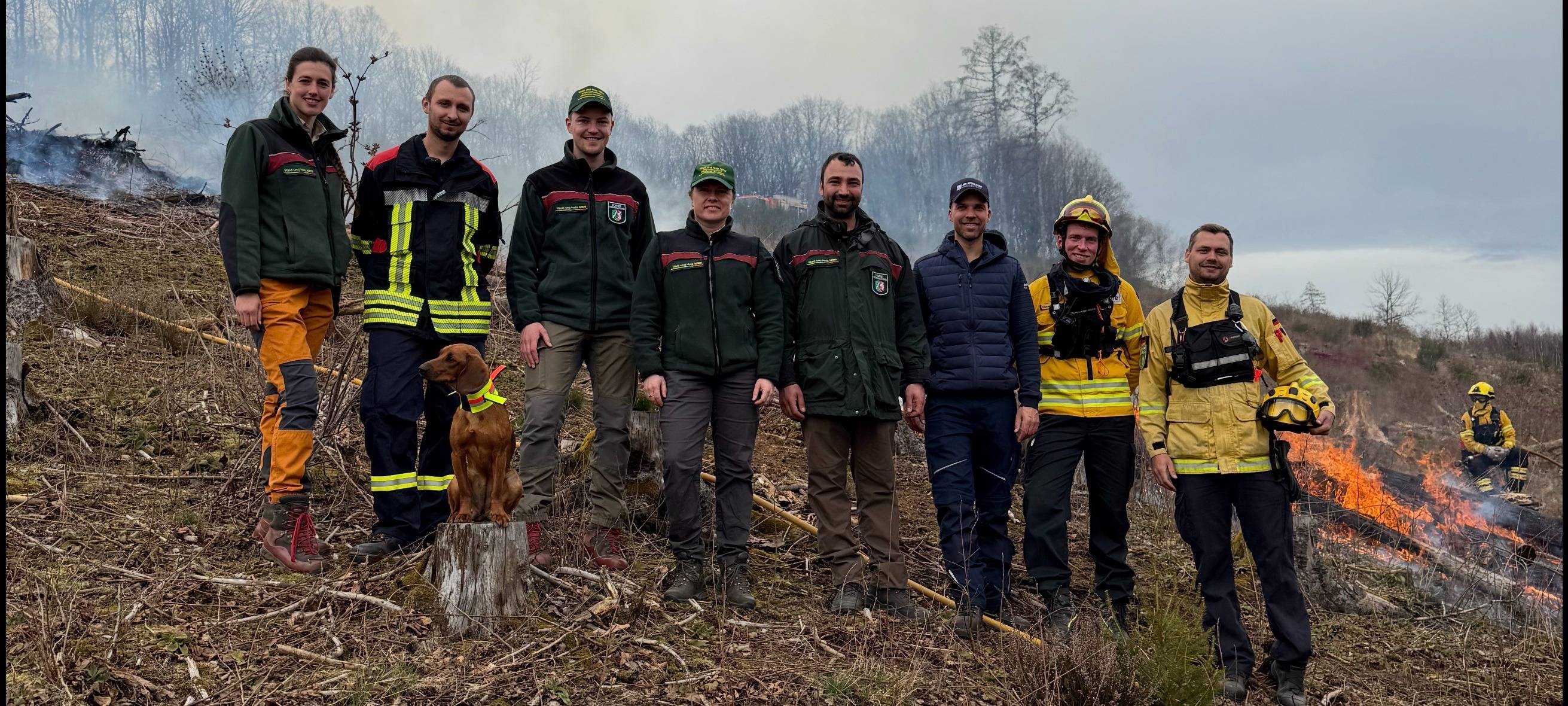 Neues Mittel gegen Waldbrände in Neuenrade getestet