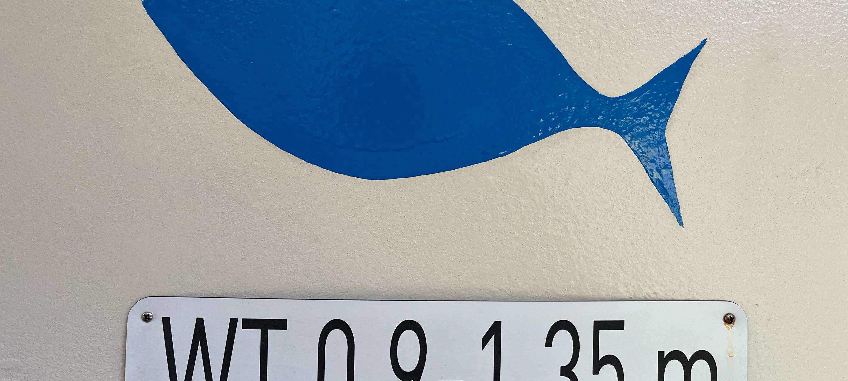 "Narwali" in Lüdenscheid ist startklar!