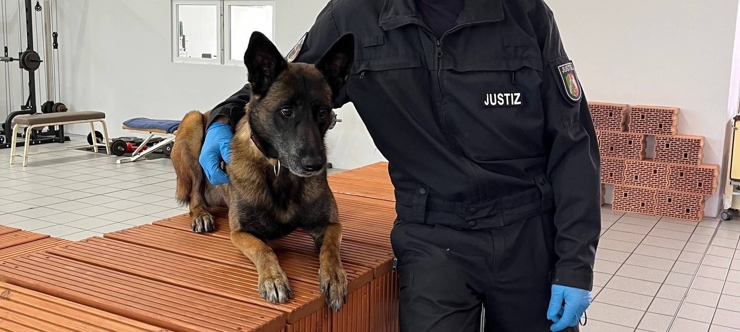 Datenspürhund Alva kann Telefone riechen!