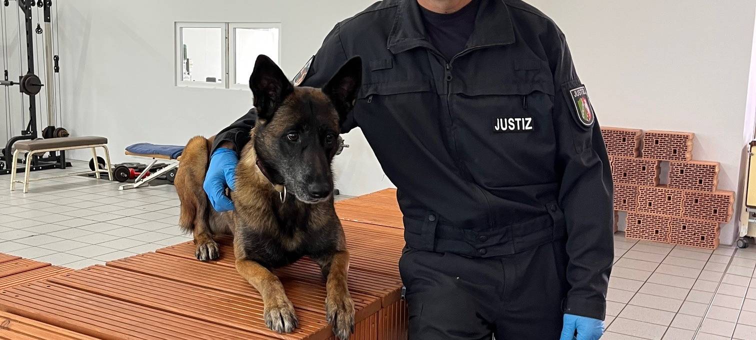 Datenspürhund Alva kann Telefone riechen!