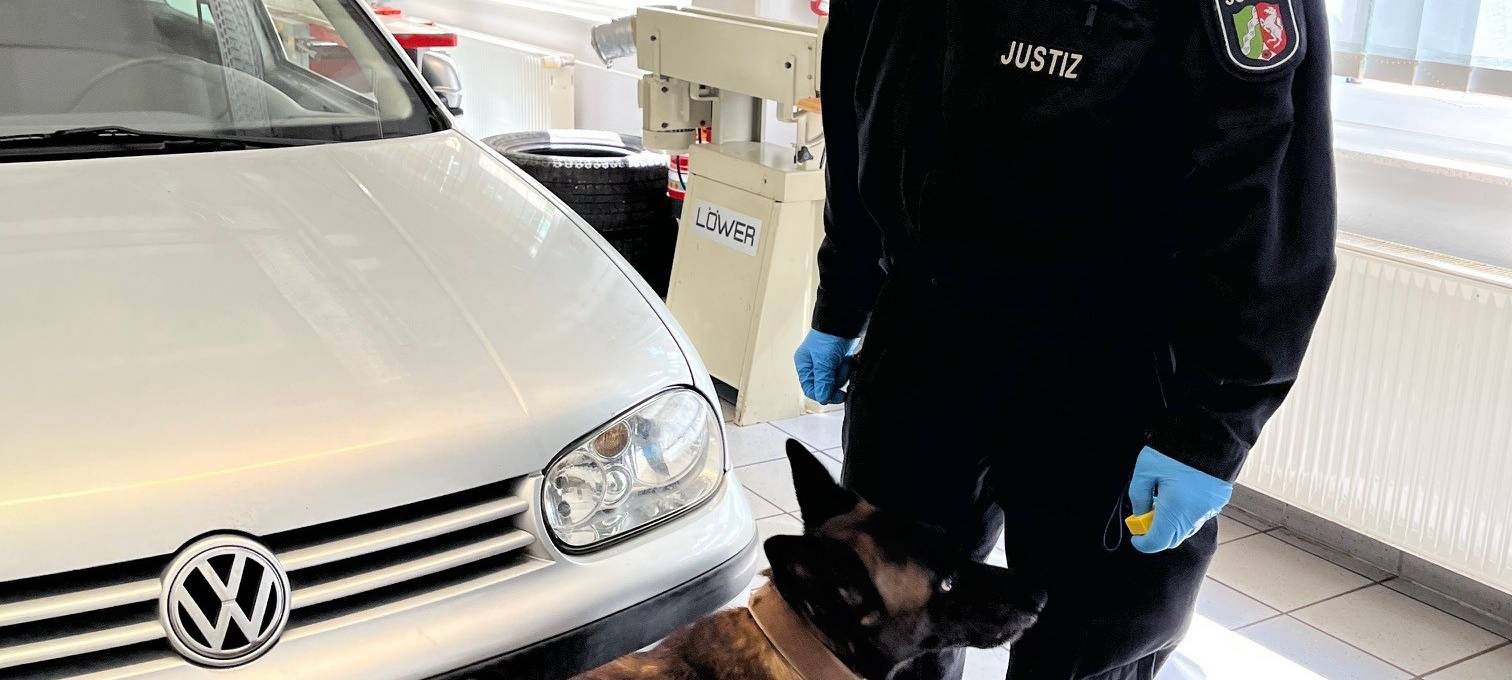 Datenspürhund Alva kann Telefone riechen!