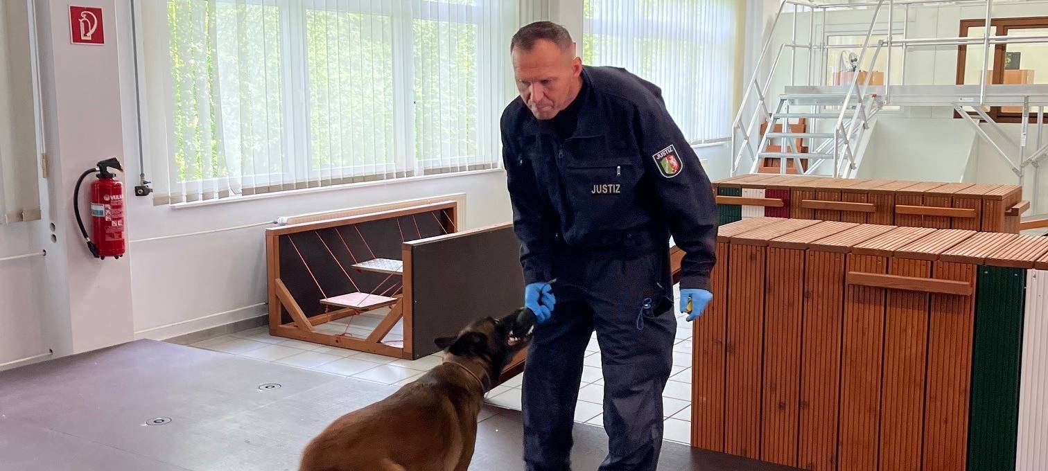 Datenspürhund Alva kann Telefone riechen!